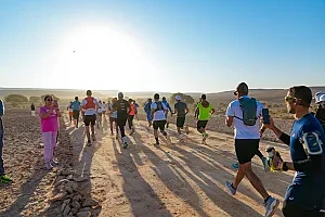 سباق الجيو بارك