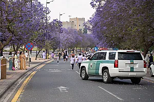  سباق الجاكرندا للأطفال 