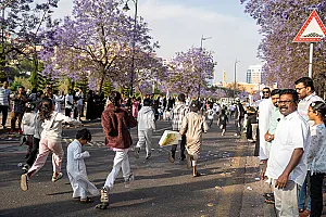  سباق الجاكرندا للأطفال 