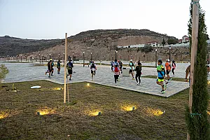 سباق الجاكرندا
