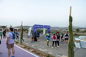 سباق الجاكرندا