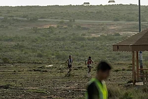 سباق الجاكرندا