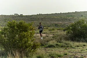 سباق الجاكرندا