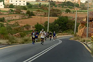 سباق الجاكرندا