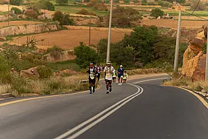 سباق الجاكرندا