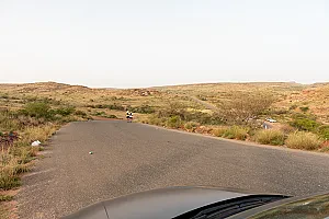 سباق الجاكرندا