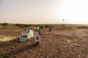 سباق الجاكرندا