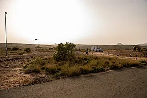 سباق الجاكرندا