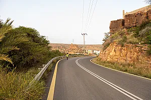 سباق الجاكرندا
