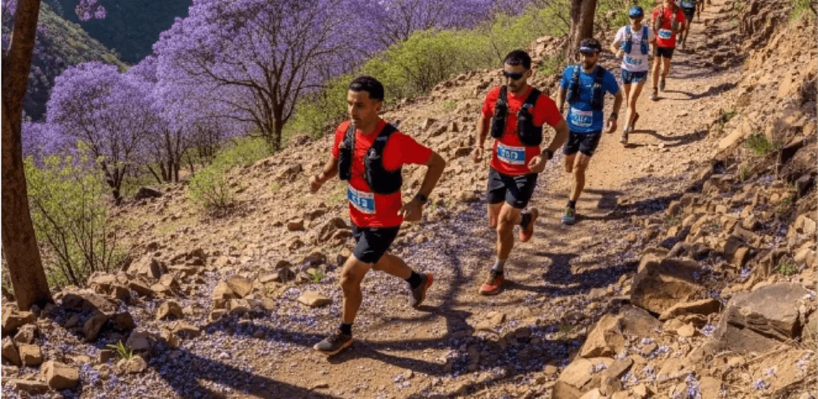 Jacaranda Race