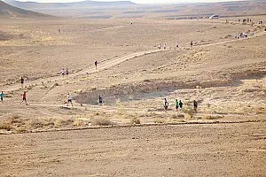 سباق الجيو بارك