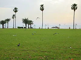 سباق الجبيل الصناعية